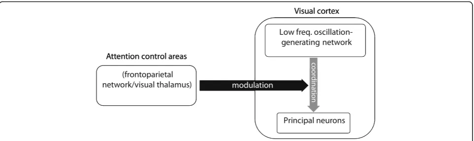 Fig. 8 Schematic mechanism of attentionbetween neurons, via modulating their coupling to an intra-regional subnetwork that generates low-frequency activity (potentially consisted ofO-LM inter-neurons)