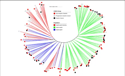 Fig. 1 Neighbour-joining tree based on whole genome sequence alignment of all 173 strains from hpEurope-derived populations