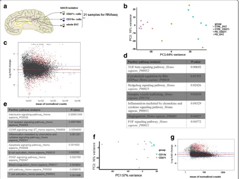 Fig. 1 Transcriptome profiling of neural stem cells of the human SVZ.0.05). a Scheme of experimental set-up
