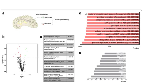 Fig. 3 Expression of genes involved in NSC activation state remains unaltered after PD.disease