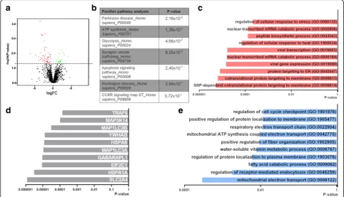 Fig. 5 Changes in protein expression in the SVZ of PD patients.machinery(biological process) of upregulated proteins shows an increase in proteins involved in a Vulcano plot showing differentially expressed proteins in the SVZ of PDpatients (p < 0.05; logF