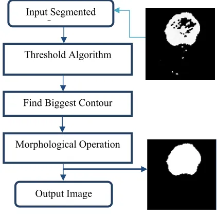 Figure 4: MRI Image Samples 