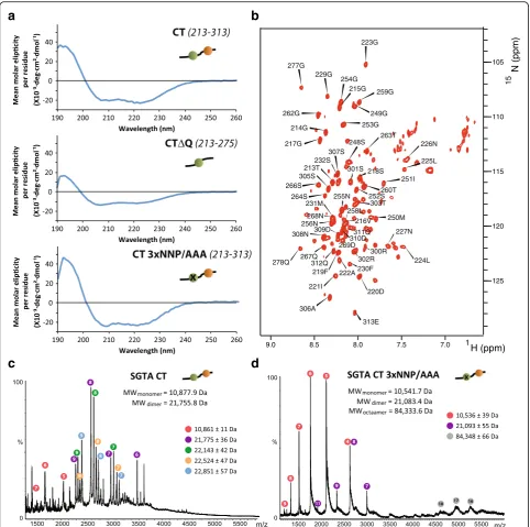 Fig. 3 Biophysical characterization of SGTA C-terminal domain. a Far UV CD spectra of the C-terminal domain of SGTA (top), its version lackingthe glutamine-rich region (middle) and the C-terminal mutated in the NNP region (bottom)