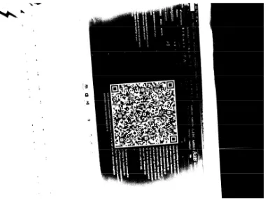 Figure 13: Enhanced Red QR-Code  