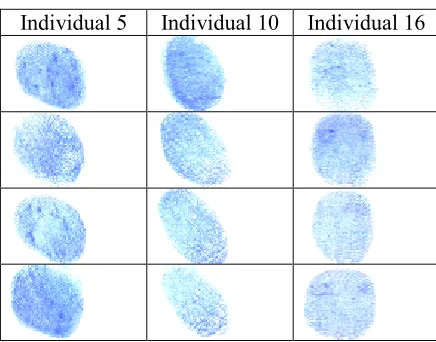 Figure 3: Fingerprint with Same Individual 
