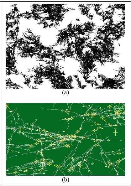 Figure 7: Random Direction Type Fibrous Root 
