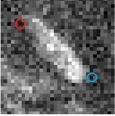 Figure 9: Input image 