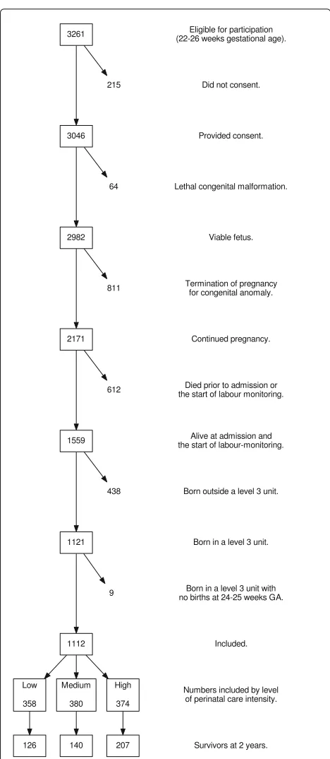 Fig. 2 Study population. Flow chart of included study population:EPIPAGE-2 cohort at 2 years corrected age