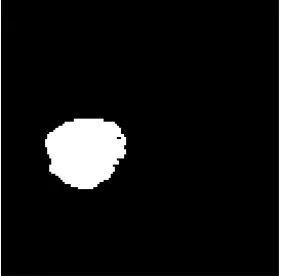 Figure 8: Input Image 