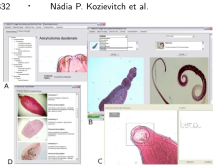 Fig. 8. SuperIDR Tool: A- Treeview navigation, B- Comparison, C-Annotation and D - Text search.