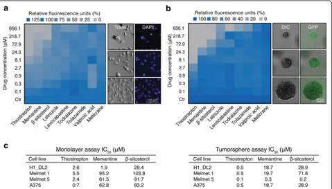 Fig. 2 In vitro drug screening. a Heatmap of three days H1_DL2 monolayer proliferation assays (left panel) and representative transmission (Trans)and 4′,6-Diamidino-2-Phenylindole (DAPI) images (right panel)