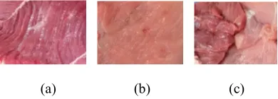 Figure 1: (a) beef image, (b) pork image, (c) beef and pork mixed 