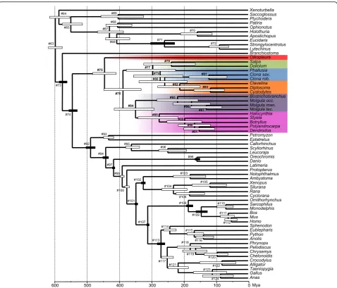 Fig. 3 A molecular timescale for tunicates within chordates. The Bayesian chronogram has been obtained using a rate-autocorrelated log-normal(LN) relaxed molecular clock model using PhyloBayes under the CAT-GTR + Γ4 mixture model, with a birth-death prior 