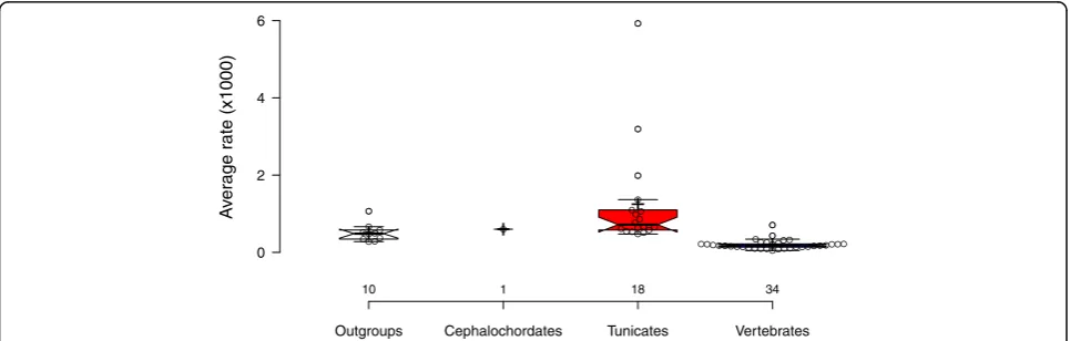 Fig. 2 Evolutionary rate variation across sampled species. The bar plots represent average rate estimates (in number of substitutions per site per millionyears) obtained for the 63 terminal taxa regrouped by taxonomy