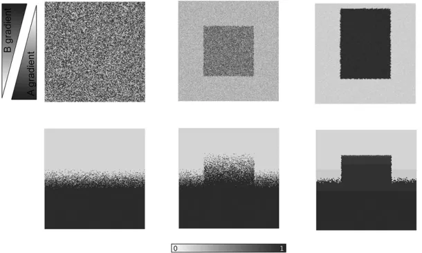 Fig. 2. Ambiguous boundary in the absence of non cell-autonomous processes. Simulations of the system with distinct initial conditions (top row) in thecentered square; and a large predominance ofunitary parameters and linear morphogen gradients