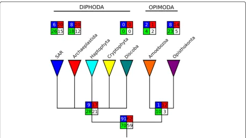 Fig. 1 Putative phylogeny of eukaryotes, based on Derelle et al. [82], that shows the distribution of 573 S-gene families