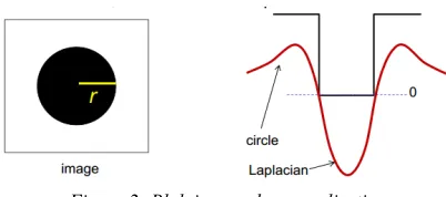 Figure 1: (a) Signal, edge in f is the value of the image 