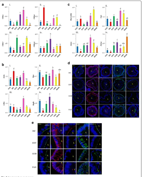 Fig. 2 (See legend on next page.)