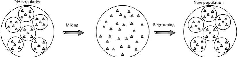 Fig. 2. Regrouping process is performed in two steps. In the mixing step, the previously formed groups are removed and their individuals are embedded within the population