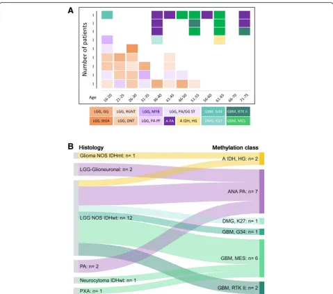 Fig. 6 a, the outcome of methylation profiling of 44 IDH-wildtype CNS tumours with low-grade histology
