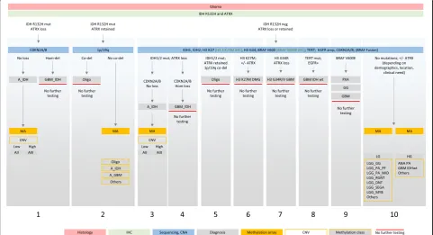 Fig. 8 Diagnostic testing algorithm for gliomas in adults. The first layer is the histological assessment