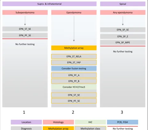 Fig. 9 Diagnostic algorithm for ependymomas. In our diagnostic practice ependymomas in adults are infrequent