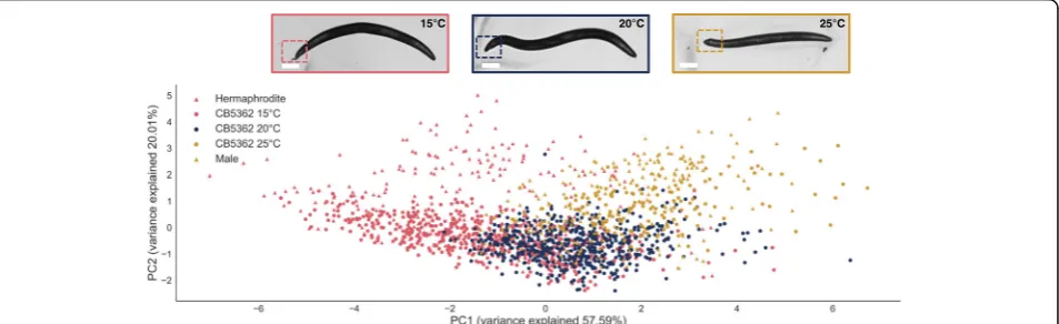 figure shows that the higher the temperature in which the