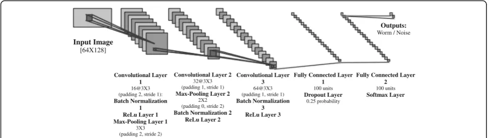 Fig. 6 WormNet architecture. The network receives an input image of size 64 × 128 pixels and outputs a classification into worm or non-wormWormNet was trained on 11,820 mask images of worms and non-worms, randomly split into 85% training and 15% test set