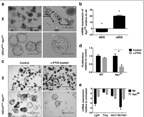 Fig. 4 eNOS is upregulated in organoids derived from ApcProliferation assay of control or wild-type and Apcfl/fl mice intestine and NO trapping decreases their proliferation and downregulates theexpression of stem-cell markers