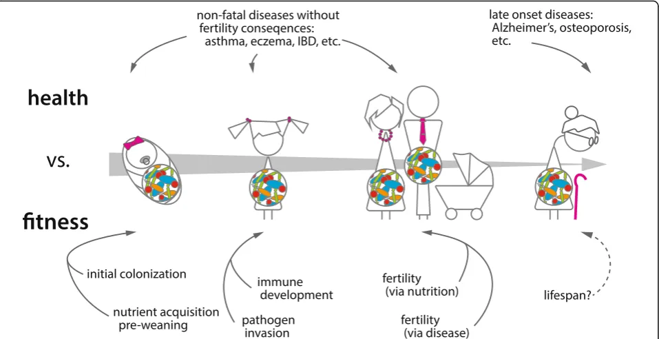 Fig. 2. Host–microbiome interactions can affect both health and fitness. Dysbiosis is associated with a number of negative health outcomes,including obesity, asthma, and certain cancers