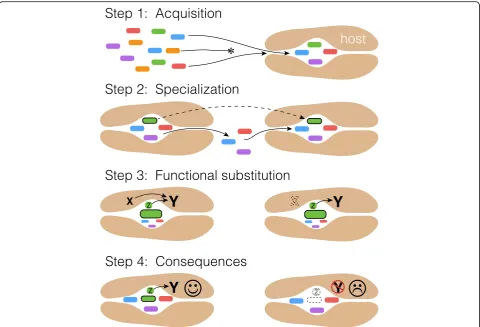 Fig. 3. A non-adaptationist model for consequences of codiversification in microbiomes