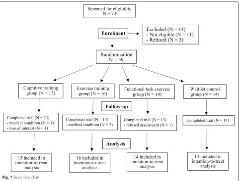 Fig. 1 Study flow chart