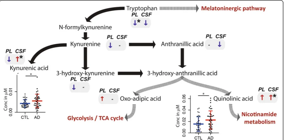 Fig. 3 Systemic and central nervous system alterations in products of tryptophan breakdown in AD
