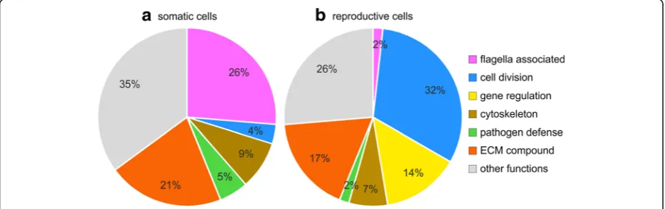Fig. 7 Classification of differentially expressed genes by their factorof overexpression