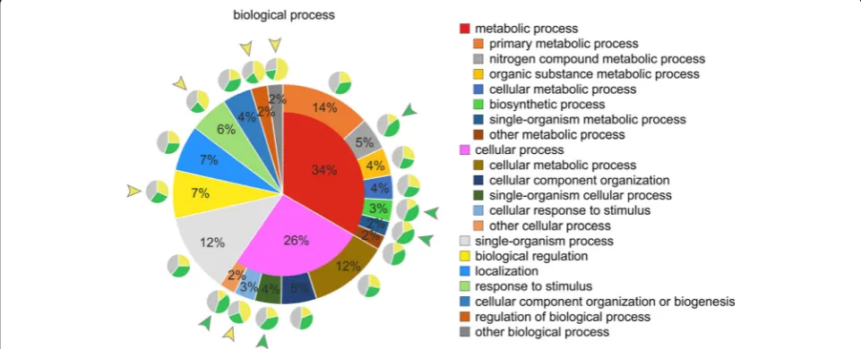 Fig. 10 Protein domain classification by biological process followed by analysis for cell type-specific distribution of expression