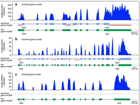 Fig. 4 Examples of expression profiles of genes with previously absent or incorrect gene models