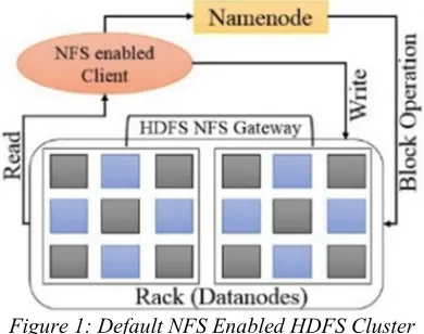Figure 1: Default NFS Enabled HDFS Cluster 