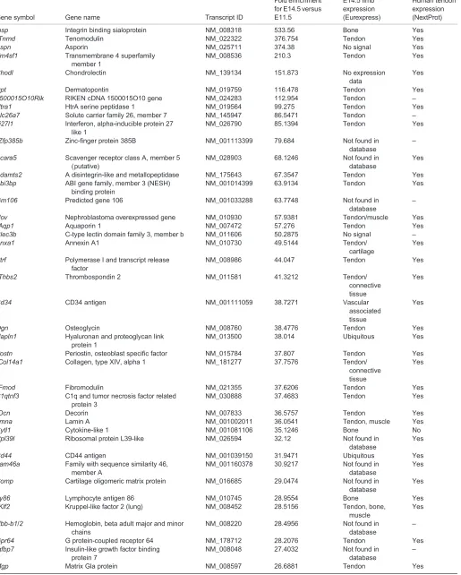 Table 3. Top 100 genes enriched in mouse limb tendon cells at E14.5 versus E11.5