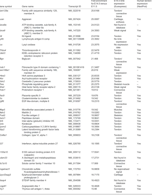 Table 3. Continued