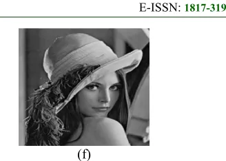 Figure 3: (a) Original Image, (b) Sectioned blocks of an image, (c) Encrypted image, (d) Watermark image, (e) Watermarked Encrypted image, (f ) Recovered an Image after decryption