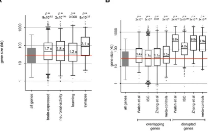 Figure 3. Genes with brain function and genes impacted by CNVs are large. A. Brain-expressed, neuronal-activity, learning, and synapse