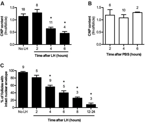Fig. 7. Time course of the decrease in the CNP content of follicles, andthe resumption of meiosis in response to LH signaling