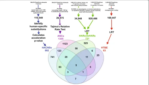 Fig. 1. Identification of human accelerated elements.celerated regions.differences include (i) the conserved elements used as candidates to identify HARs (which depend on multiple sequence alignments, methods todetect conservation, and whether human was ma