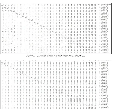 Figure 13: Confusion matrix of classification result using CCH 