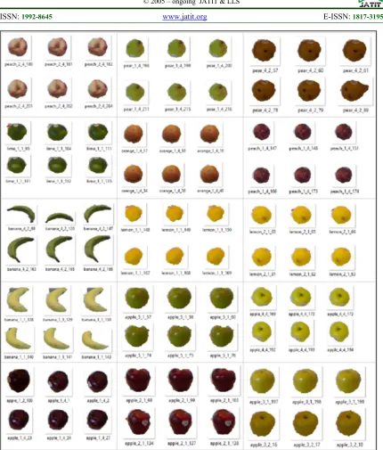 Figure 15: Samples of fruit images which can be identified by using bag-of-shapes descriptor but misidentified by using  chain code histogram 