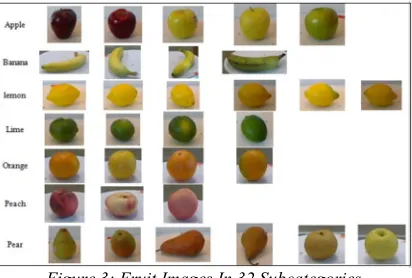 Figure 3: Fruit Images In 32 Subcategories 