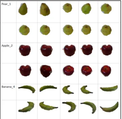 Figure 7: Samples of 10 prototypes of some fruit 