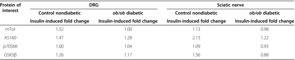 Figure 5 The PNS of ob/ob mice displayed reduced Akt activation in response to intrathecal IGF-1