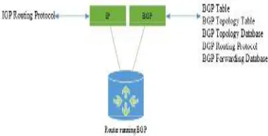 Figure 3: The Router Is Running BGP and IGP 