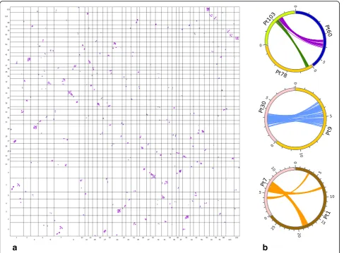 Fig. 5 Genome-scale conservation of synteny among P. tepidariorum scaffolds reveals signatures of an ancient WGD